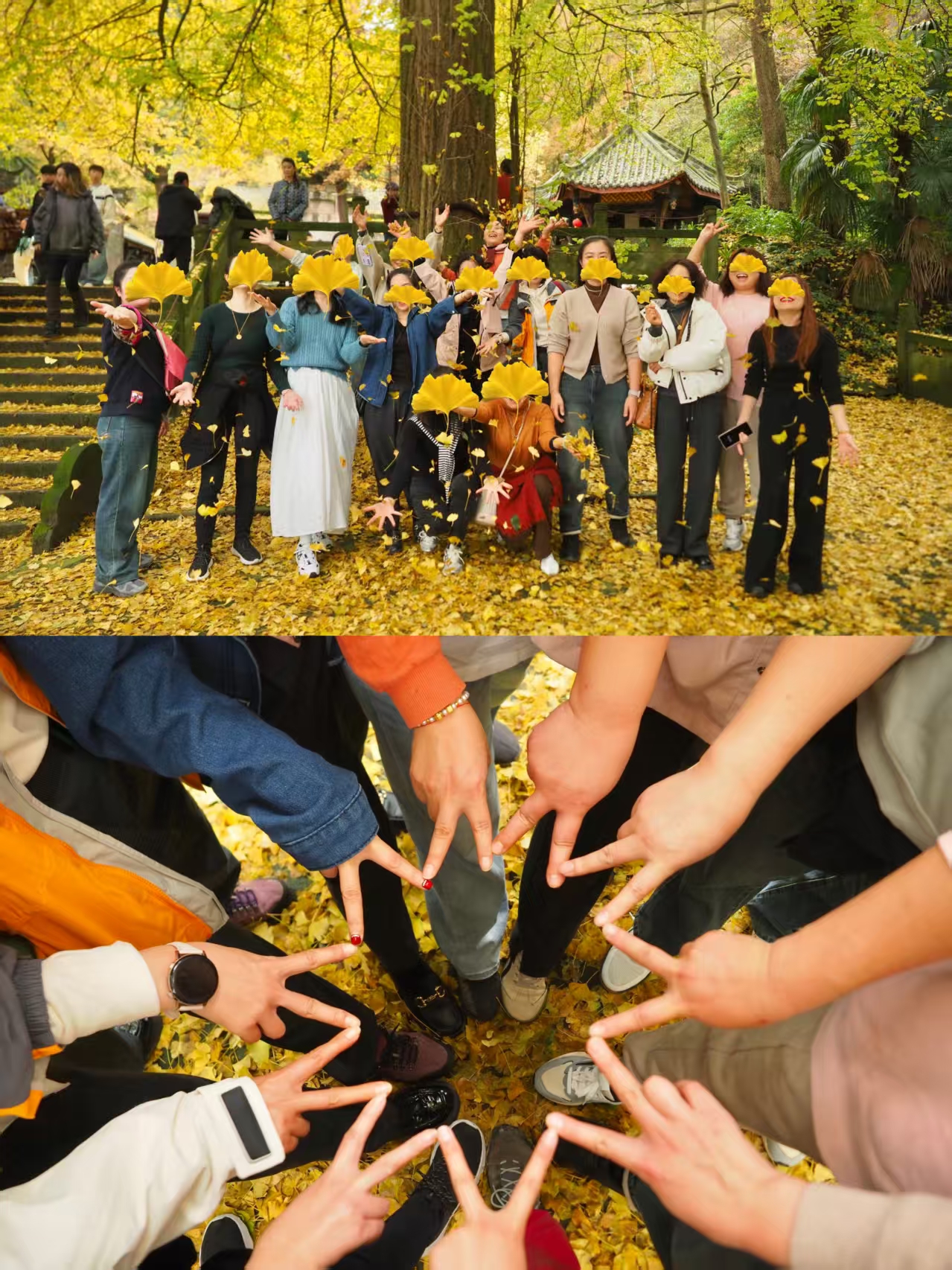 1762935375837516.jpg 91e6aef9200203c744a266945ff9c91.jpg