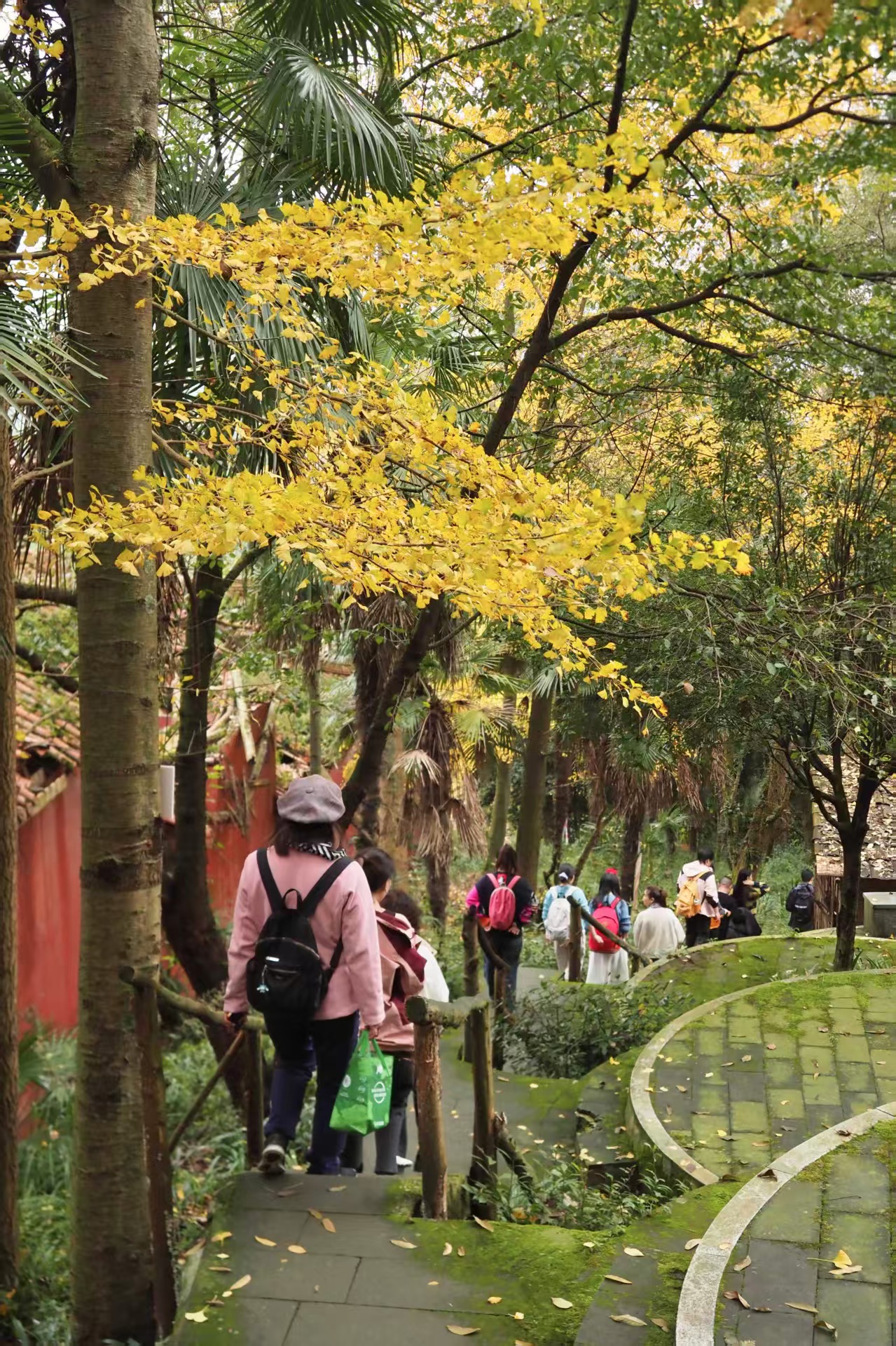 1762935411344374.jpg 43dc252eb9d8f58f87ace1784fd73a7.jpg