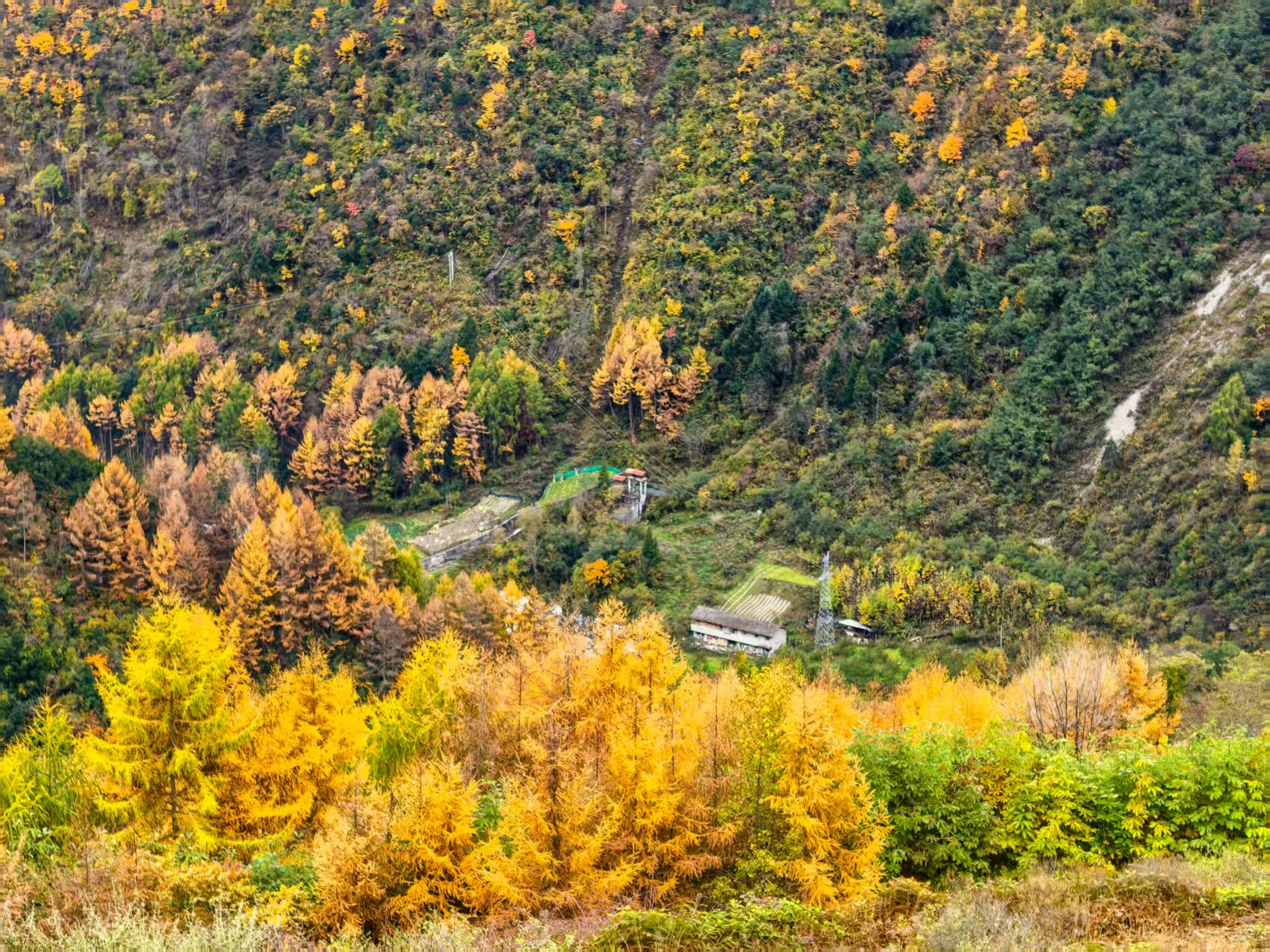 1762998164204544.jpg 9d595a1b049e6fa26c46cd37631b164.jpg