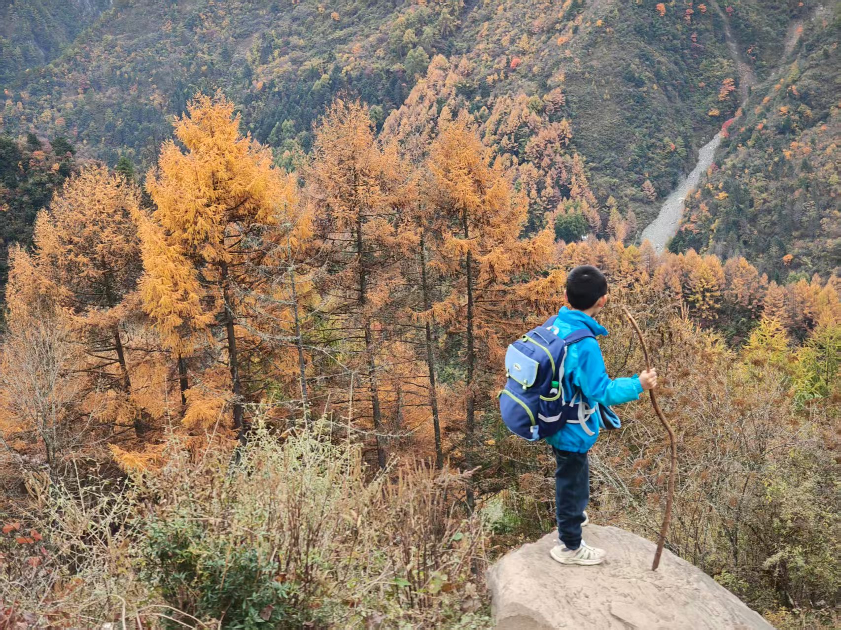 1762998183117810.jpg cfd0ecdc1d3d4dc8e05fd43f96cf7aa.jpg