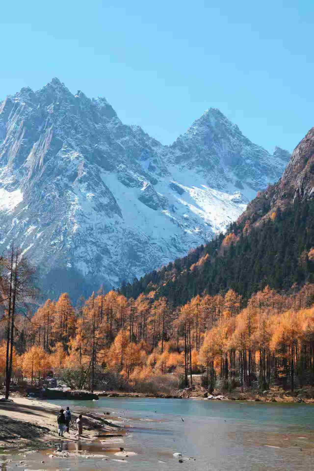 1763000645959297.jpg e802f94373022a82895b7c19e566b4a.jpg