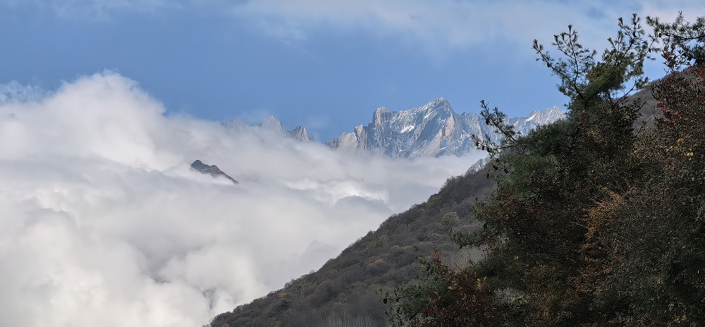 1763027455973971.jpg ad7685af3e3053a9468fb4c9ff75d89.jpg