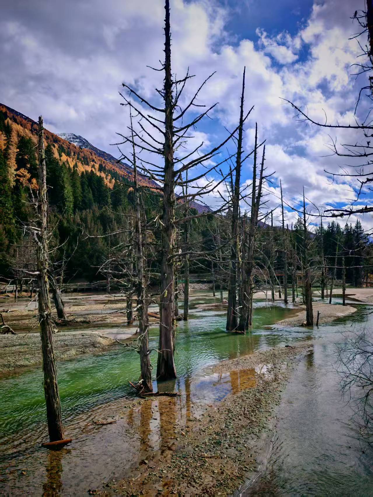 1763255413658636.jpg 微信图片_20251116090930.jpg