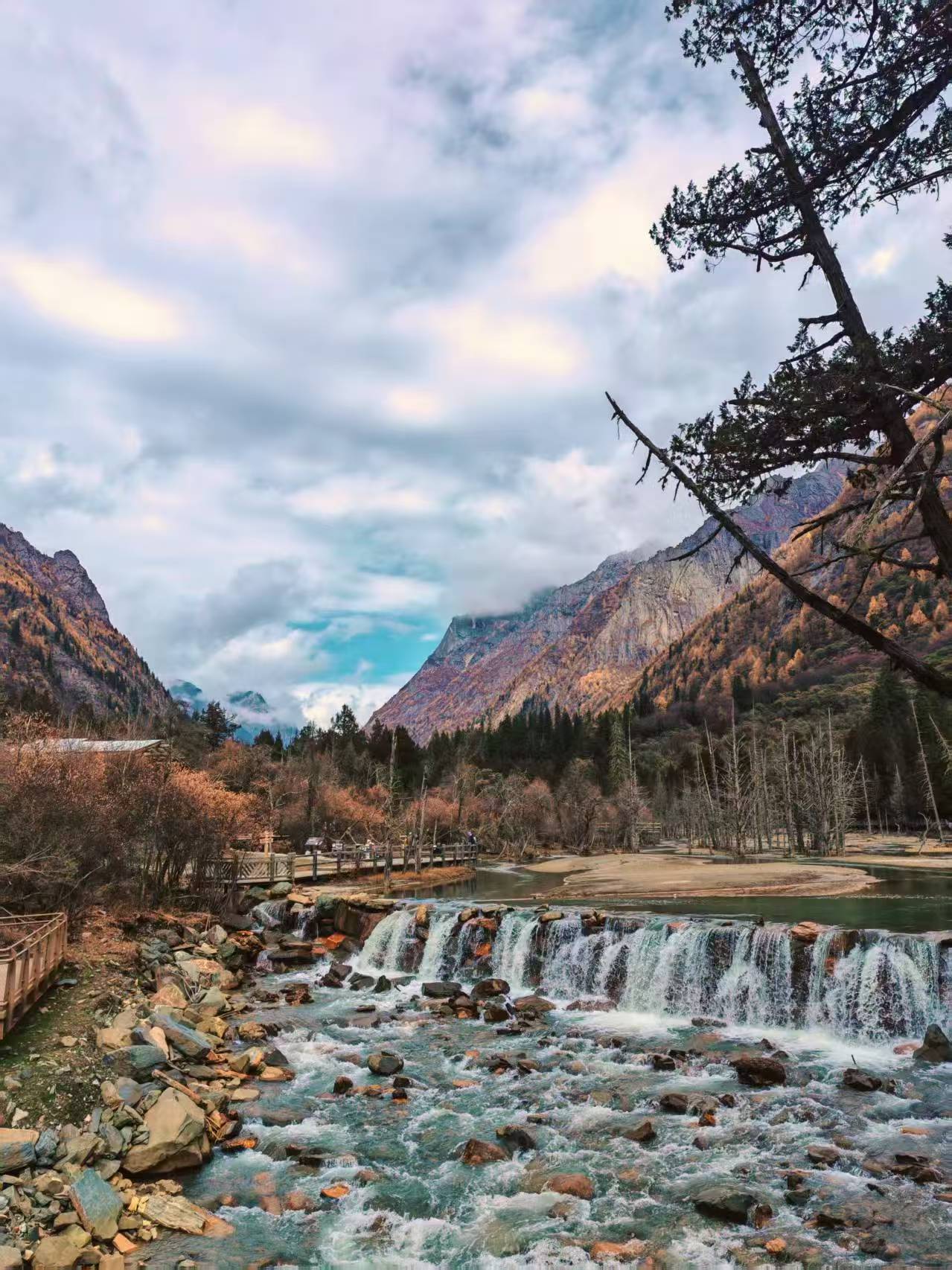 1763255416687520.jpg 微信图片_20251116090941.jpg