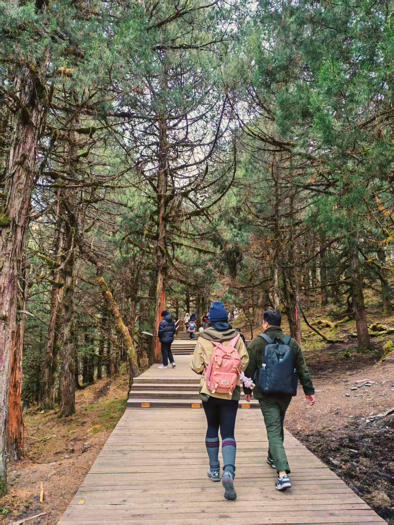 1763255419145604.jpg 微信图片_20251116090928.jpg