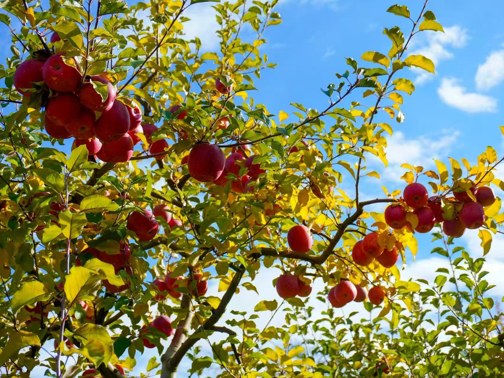 1763255463509613.jpg 微信图片_20251116090913.jpg