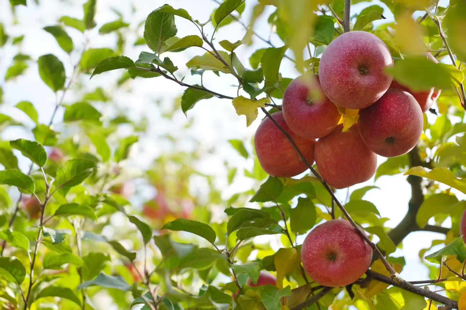 1763255465588106.jpg 微信图片_20251116090918.jpg