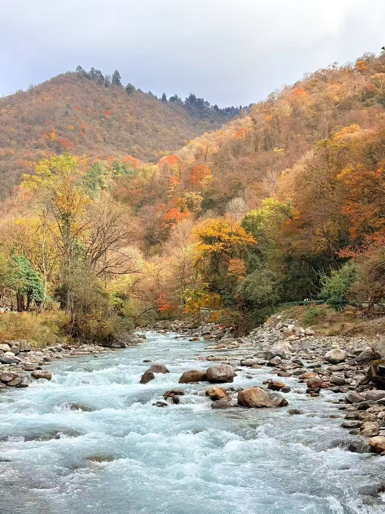 1763255488103046.jpg 微信图片_20251116090856.jpg