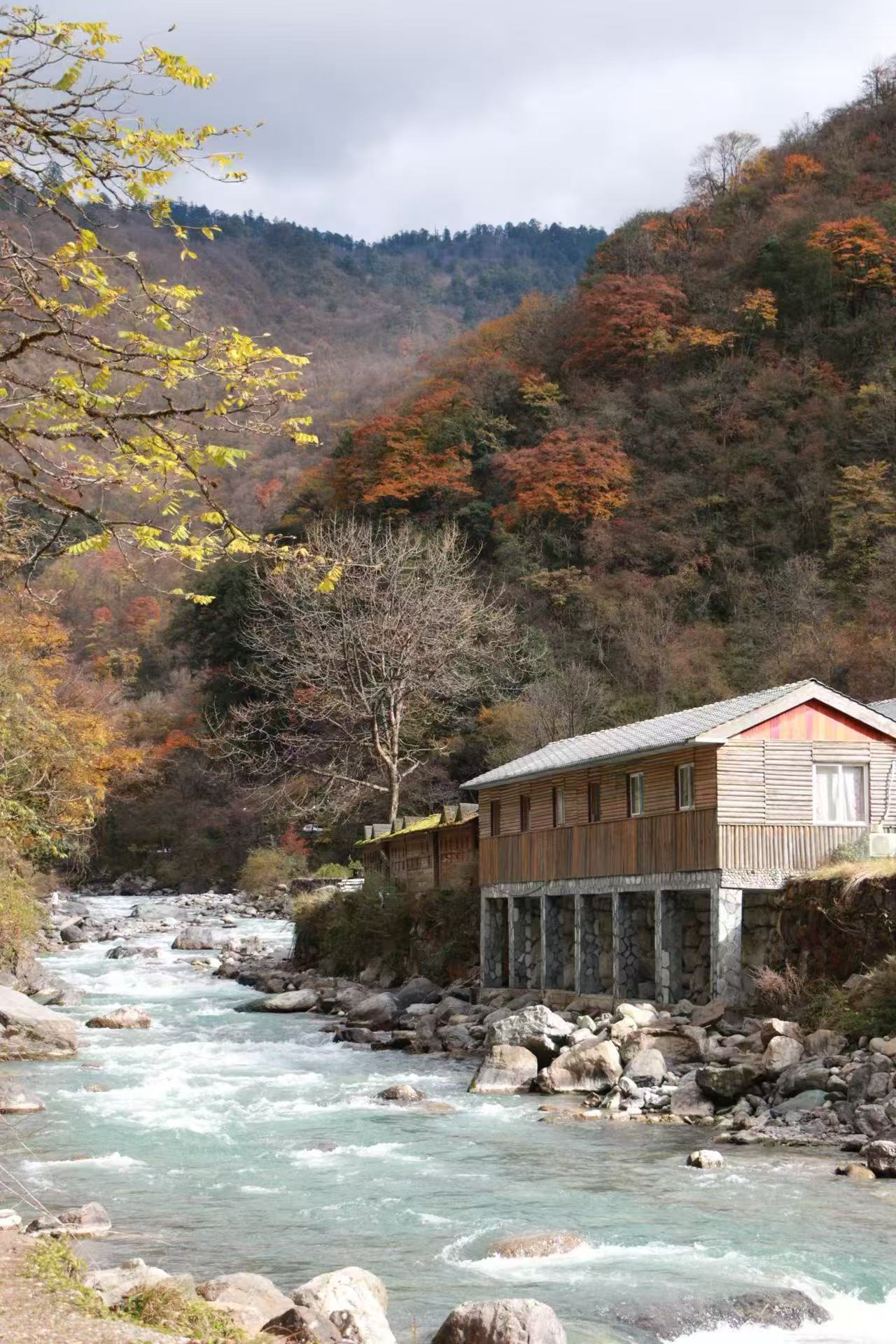 1763255492866555.jpg 微信图片_20251116090906.jpg