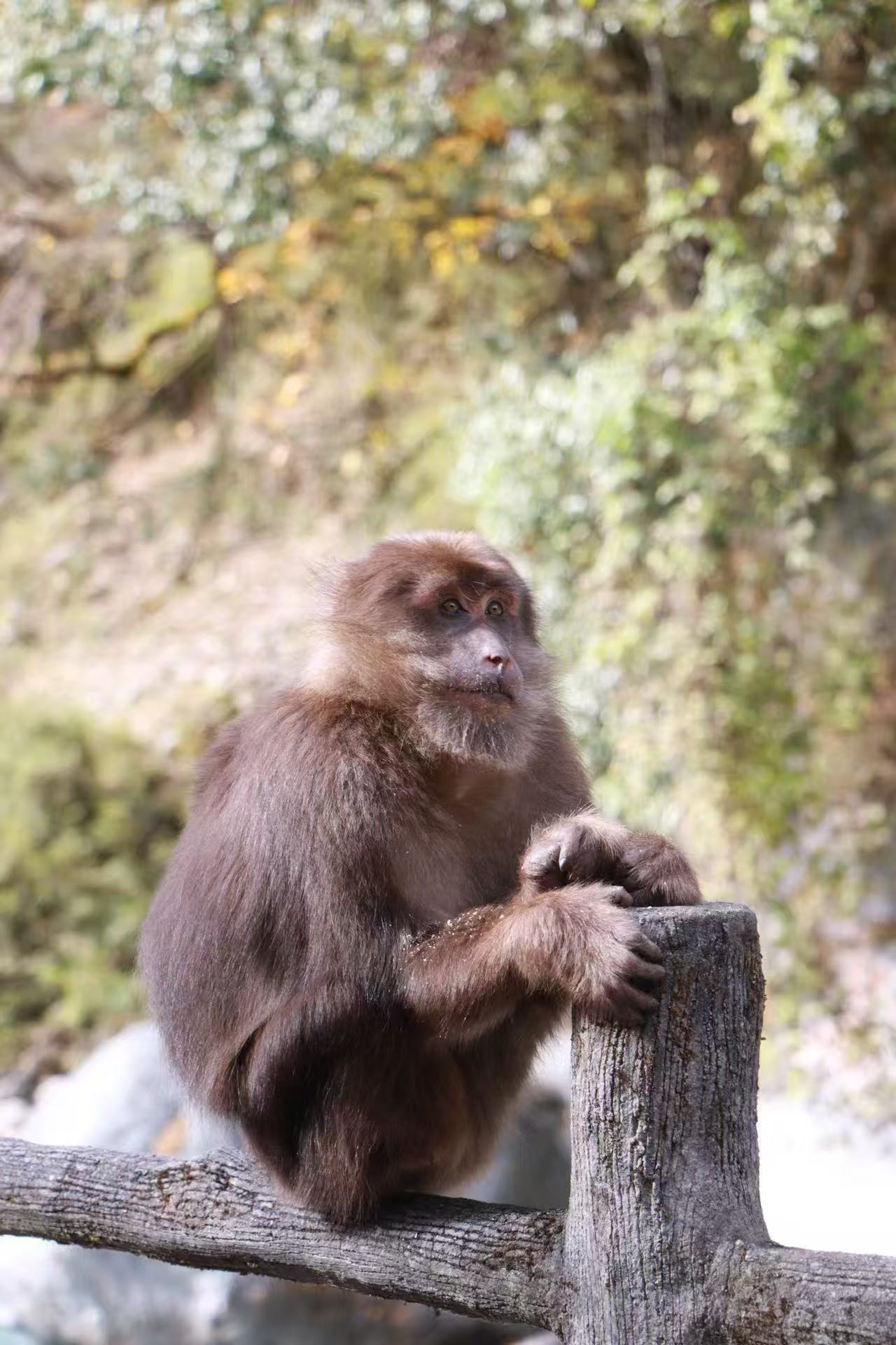 1763255494347326.jpg 微信图片_20251116090903.jpg