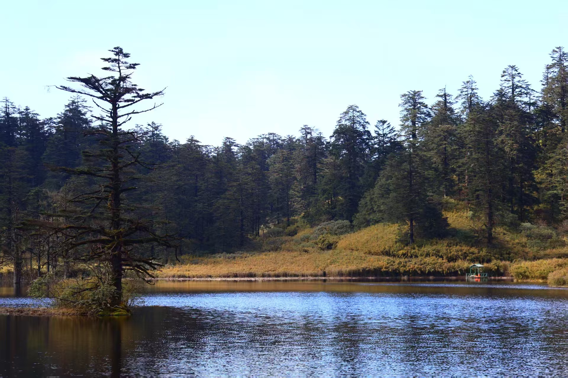 1763255514251219.jpg 微信图片_20251116090848.jpg