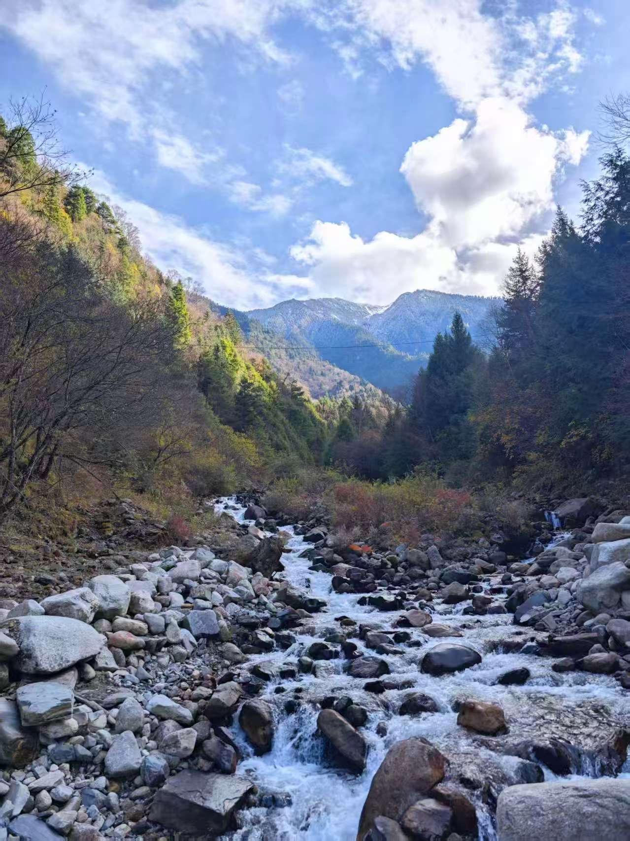 1763255947269372.jpg 微信图片_20251116091847.jpg