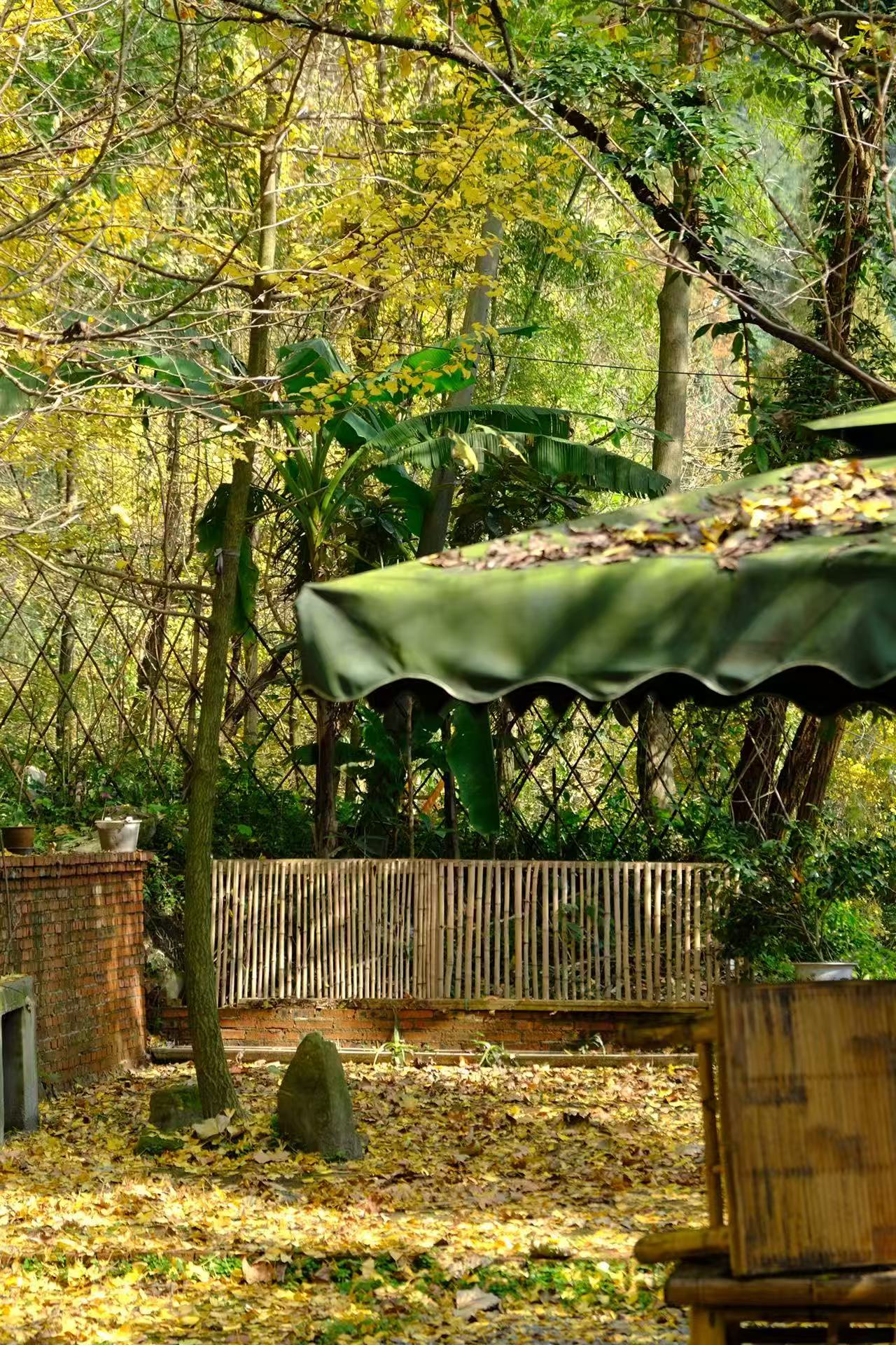 1763255978828352.jpg 微信图片_20251116091842.jpg