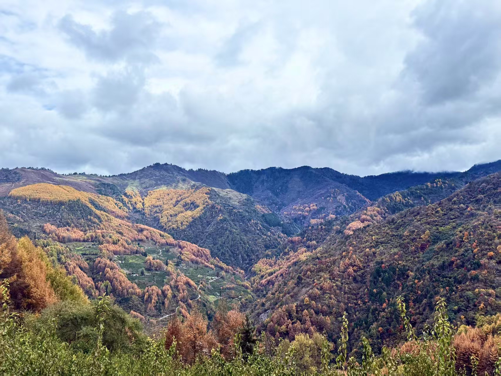 1763256094293047.jpg 微信图片_20251116092058.jpg