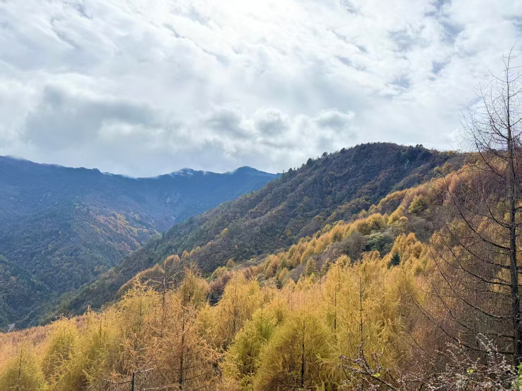 1763256097615299.jpg 微信图片_20251116092100.jpg