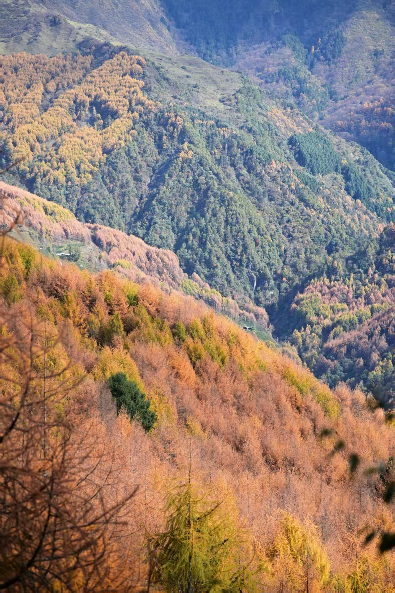 1763256100577042.jpg 微信图片_20251116092103.jpg