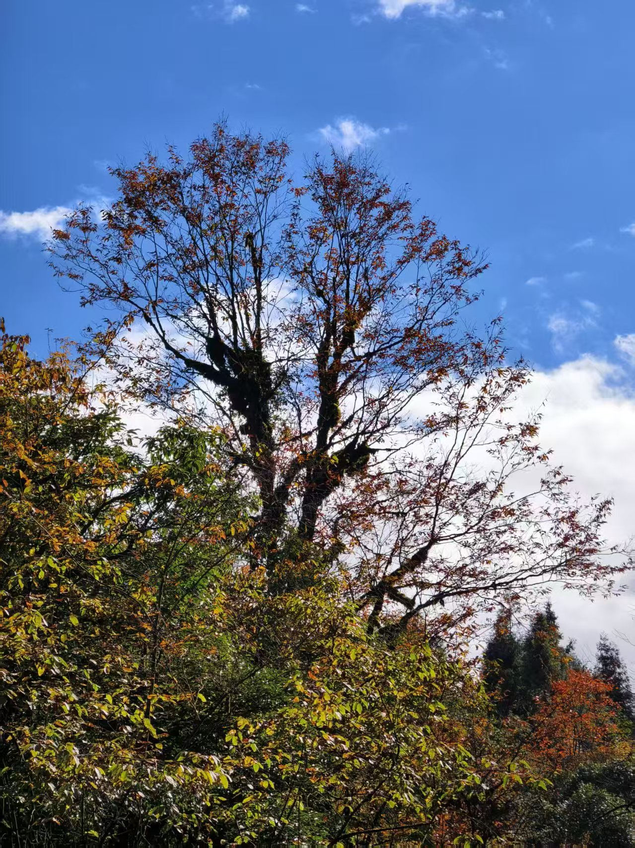 1763256126752940.jpg 微信图片_20251116090921.jpg