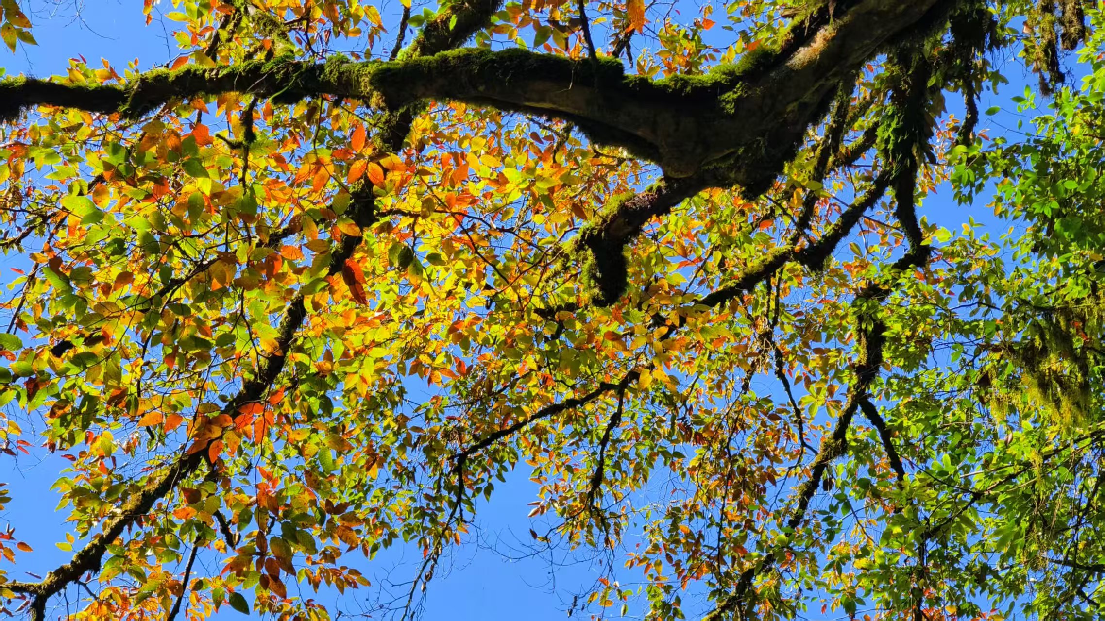 1763256129493628.jpg 微信图片_20251116090923.jpg