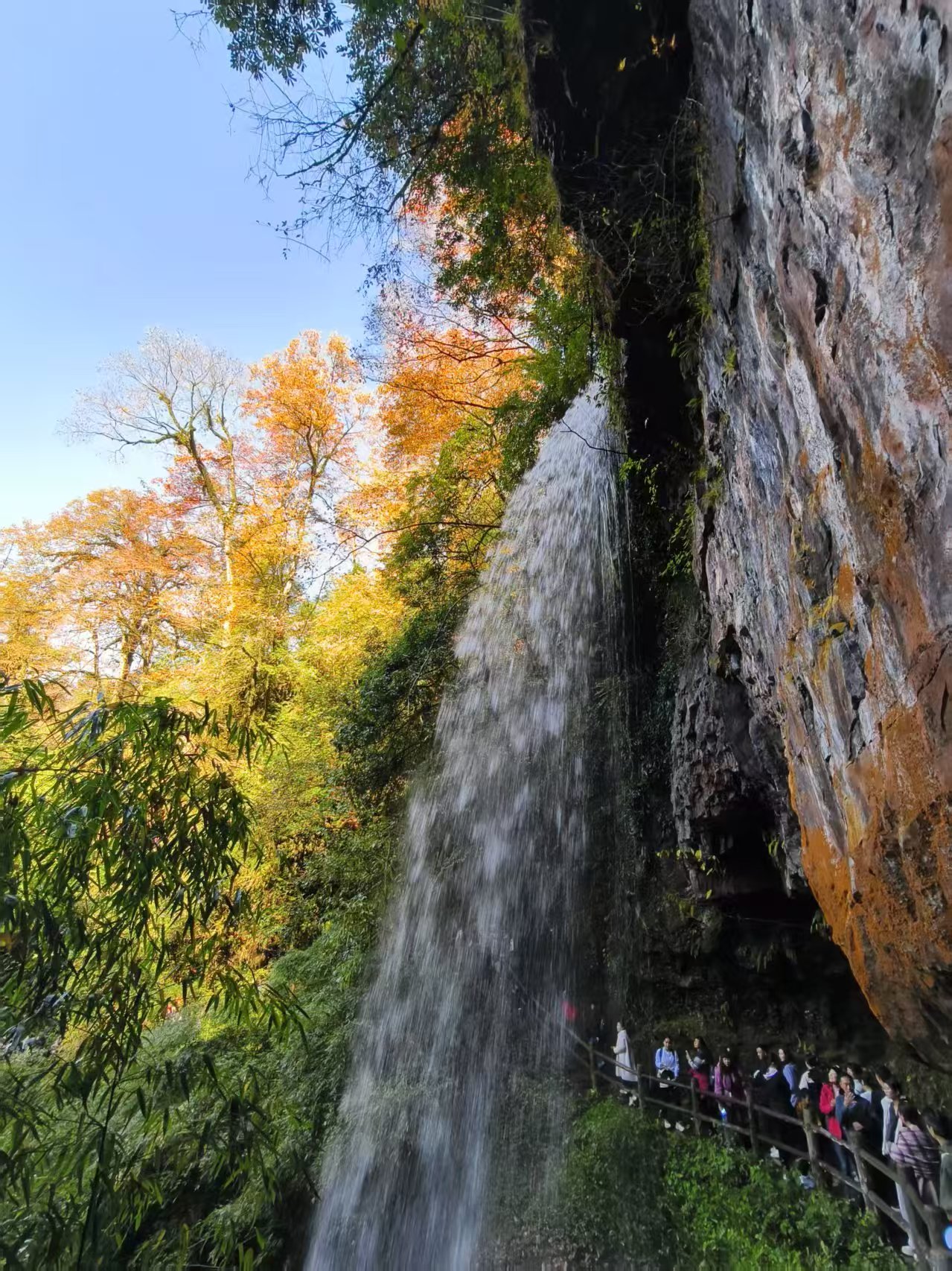 1763256131898382.jpg 微信图片_20251116090925.jpg