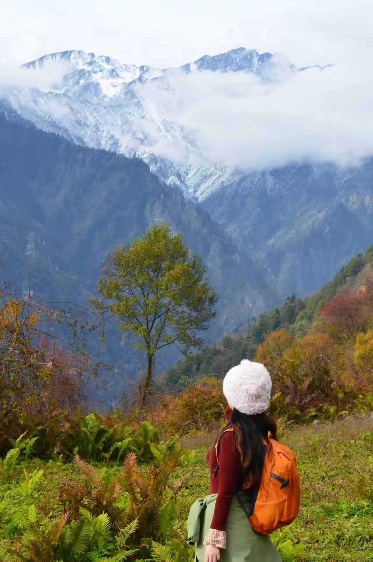 1763256154218071.jpg 微信图片_20251116092109.jpg