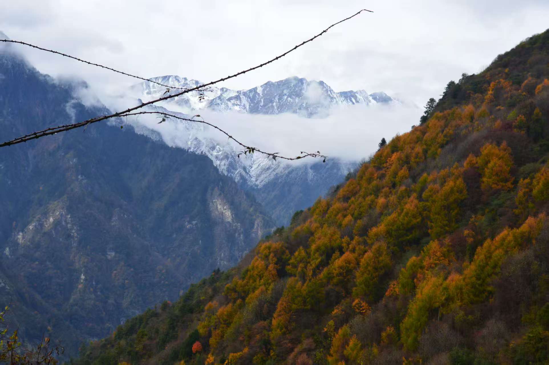 1763256158794355.jpg 微信图片_20251116092106.jpg