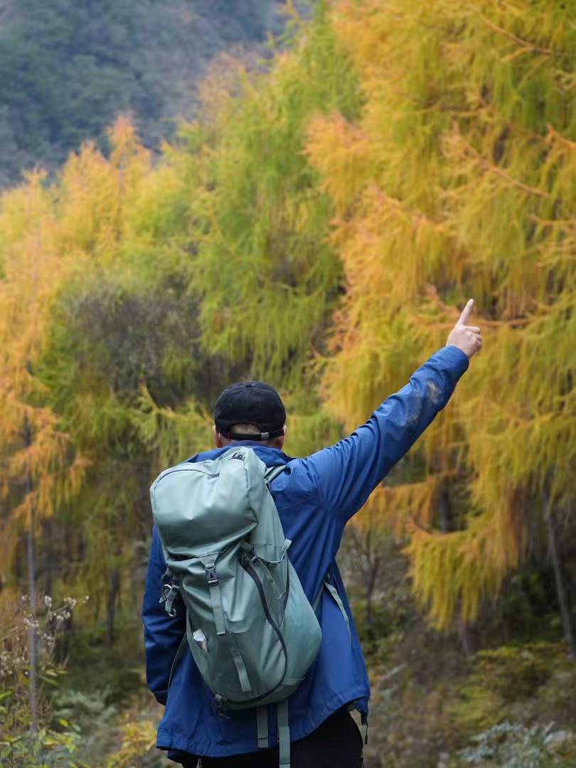 1763346074754437.jpg 9a6e6d9730a8d14ad6638dff0349760.jpg