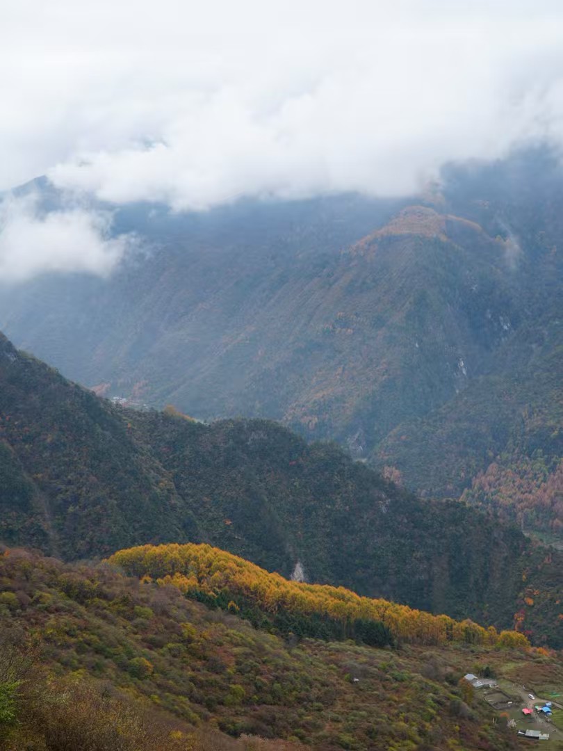 1763346081615416.jpg da242dc0f7c36d4741791977c7eb8d0.jpg