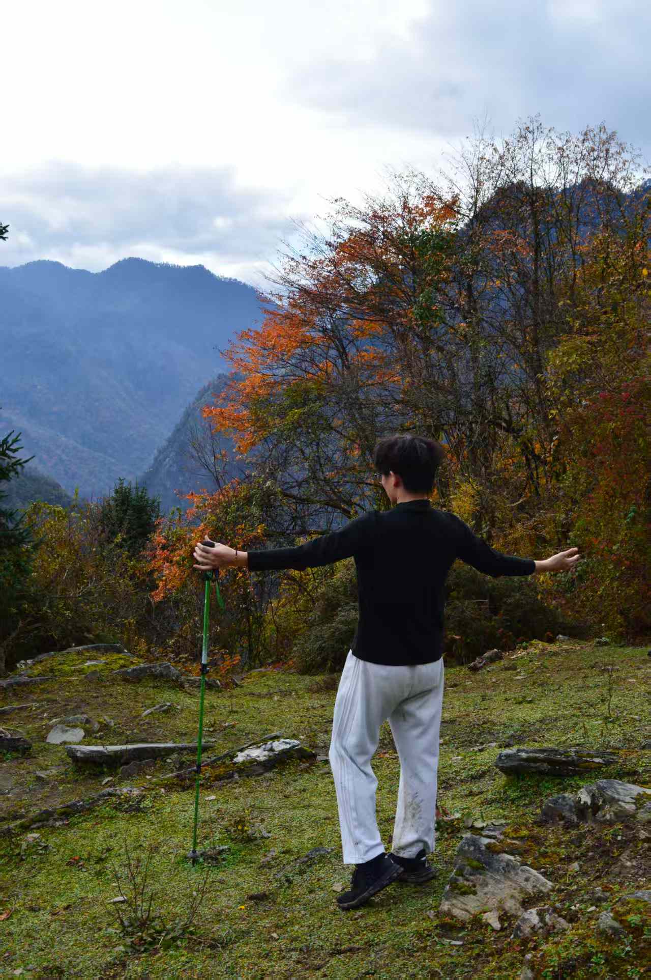 1763347025728250.jpg b0f37a994fe3a82ece7c4106db937f6.jpg