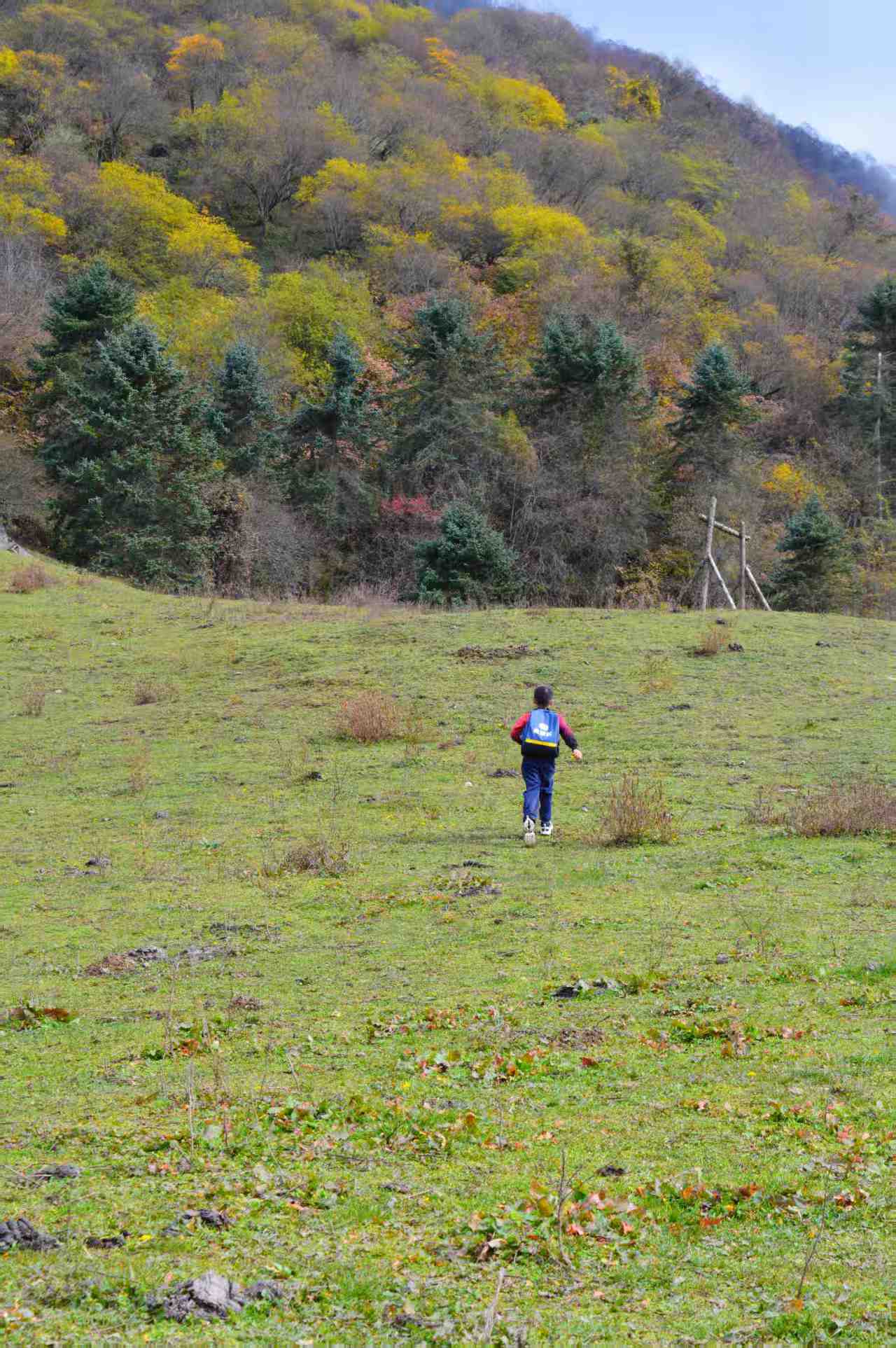 1763347054300064.jpg 1c773f72b54652a48b7feba069a3aaf.jpg