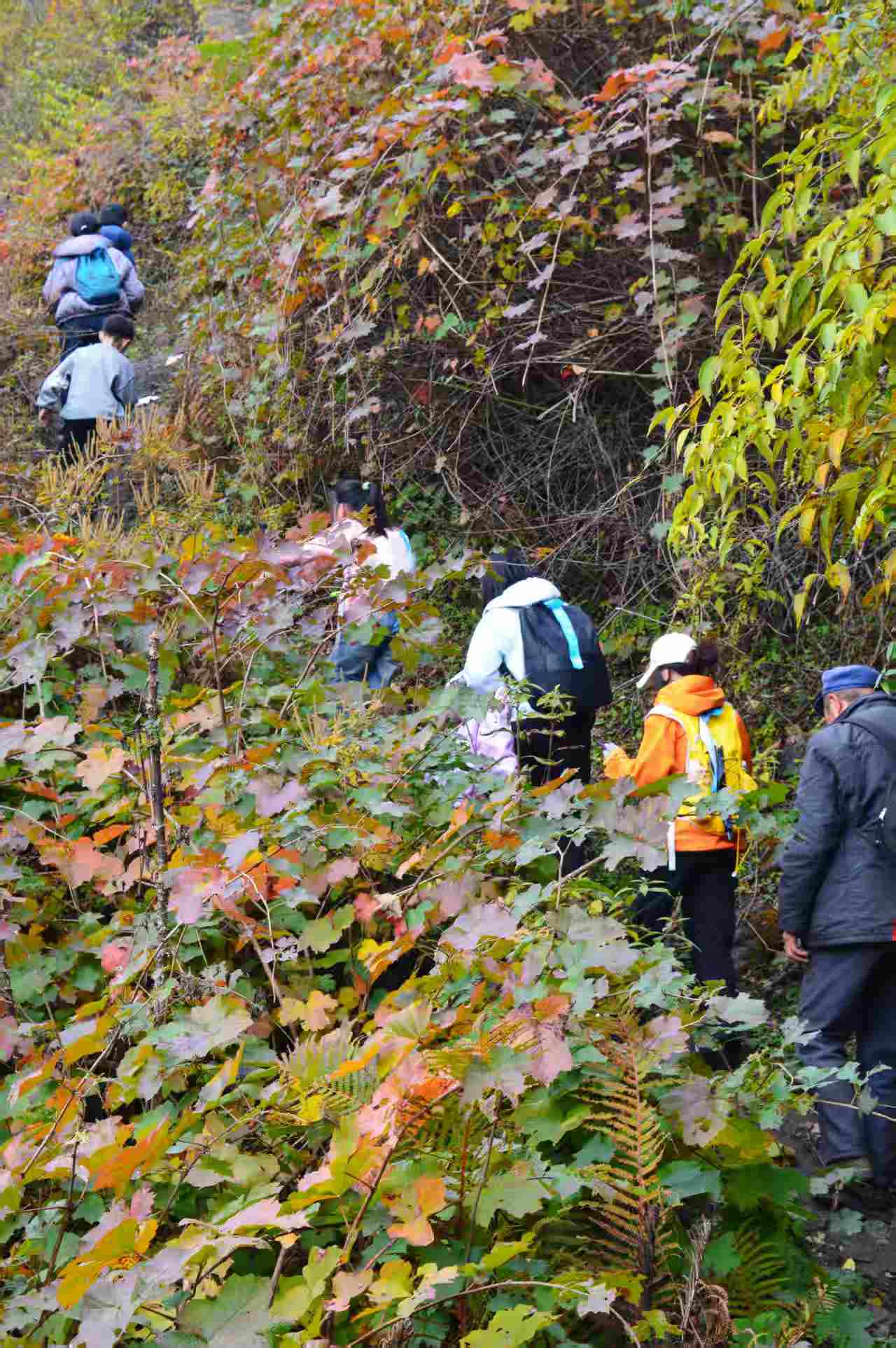 1763347095153957.jpg 5c09bbb72bd1ea8571b2ae9f609da0b.jpg