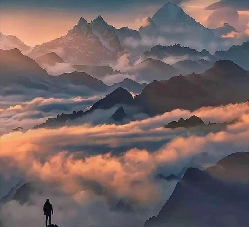 1763348787927290.jpg 1721276727617419.jpg