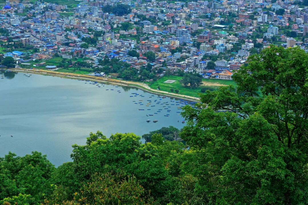 1763348955921479.jpg 640.jpg