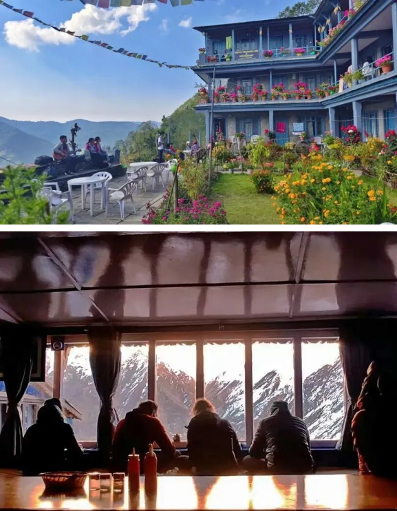 1763358892781036.png 11c4ef2ab11e7ee9c88abb7a7406382.png