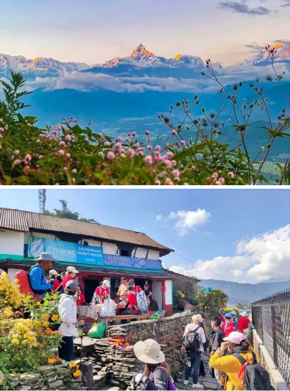 1763358904921350.png 496c96aff7d82d5e7b5d7bf8313812c.png