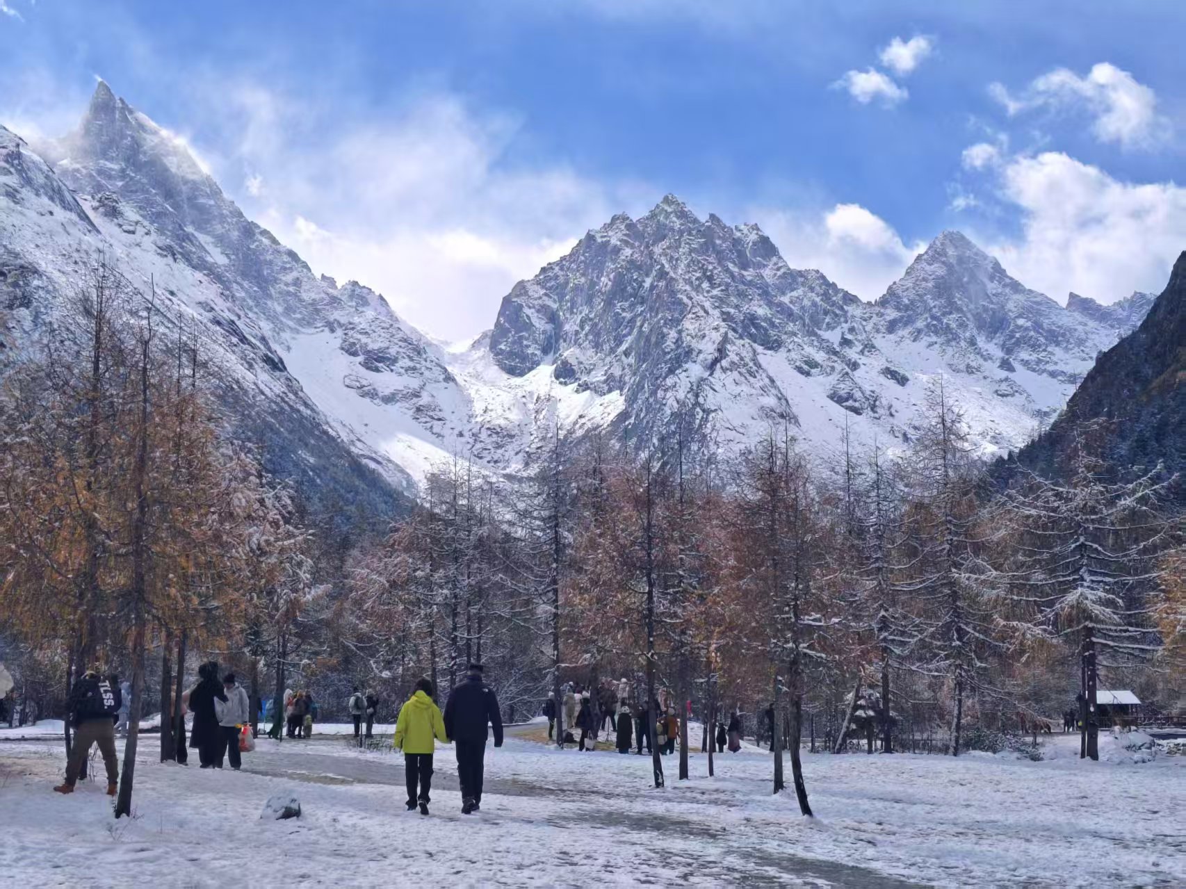 1763514441181927.jpg 微信图片_20251119085329.jpg