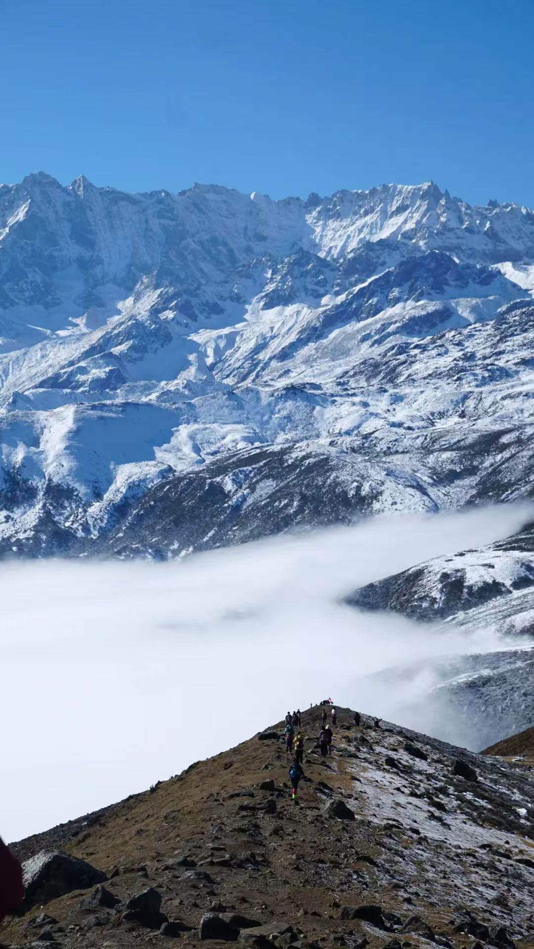 1763698344920315.jpg 10e2bfd947214542029b6ffe0412b7c.jpg