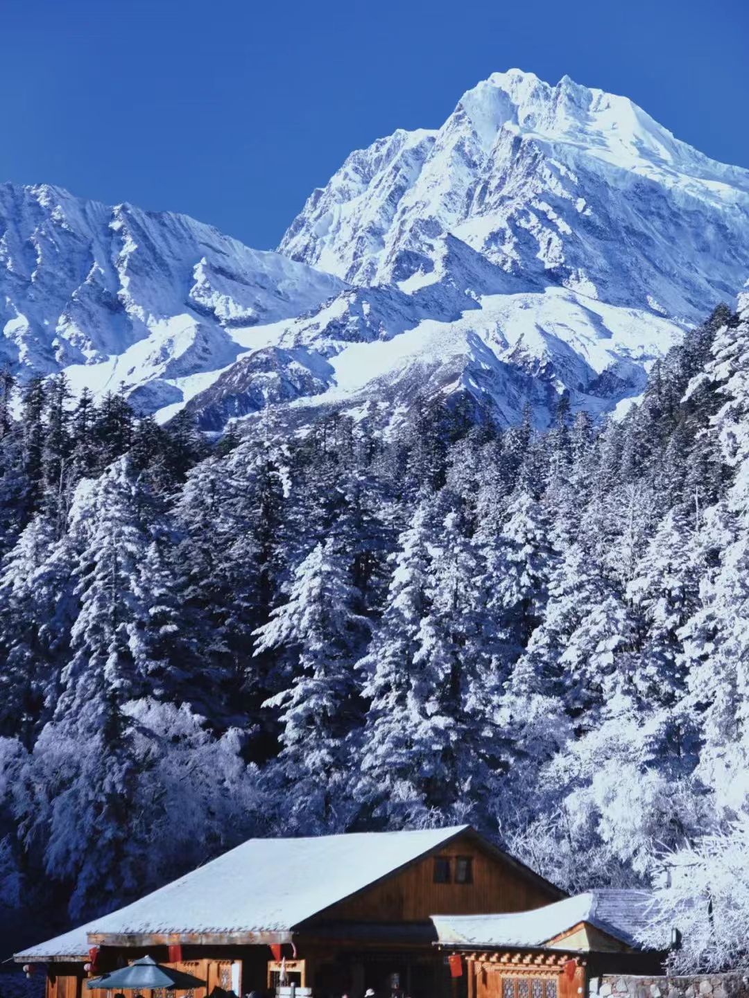 1763698374872724.jpg e45e4cb39da56fd1a9baafd5ab77467.jpg