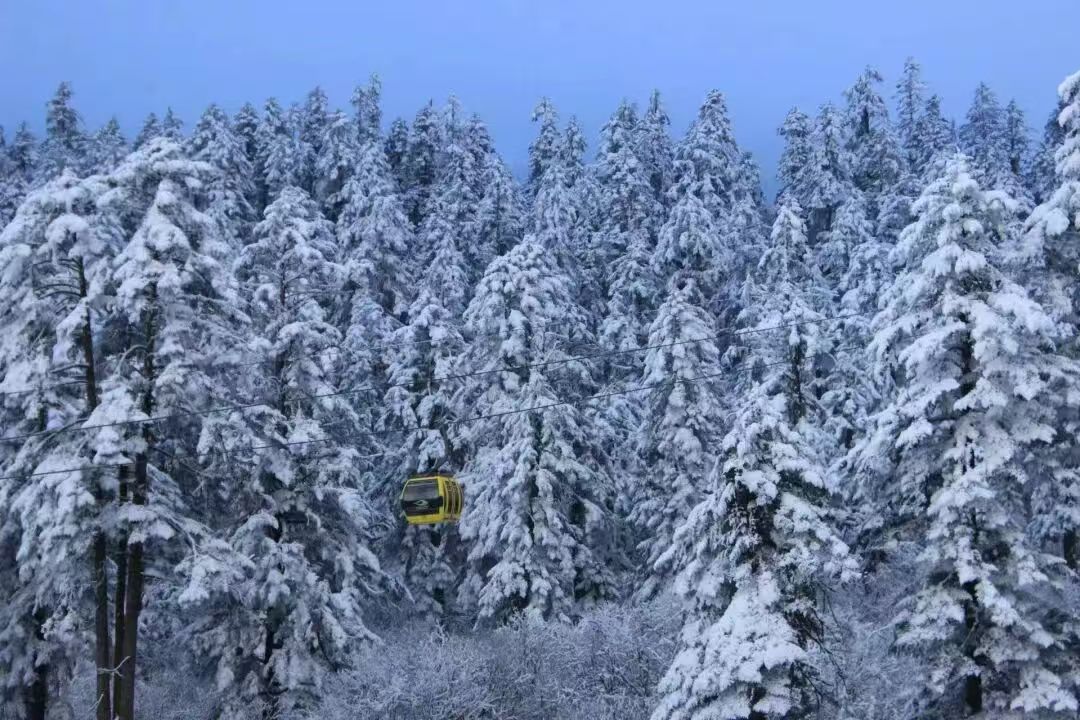 1763698381234045.jpg b1852b581a85727b6e42c6ea771e0b7.jpg