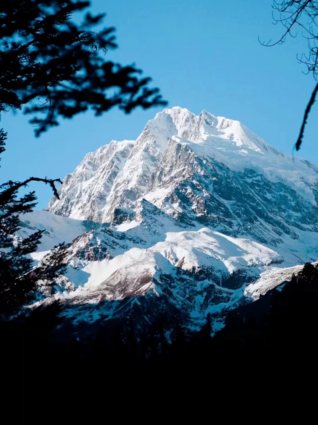 1763698399738580.jpg 387dc22d55a38e650e98af189af18c6.jpg