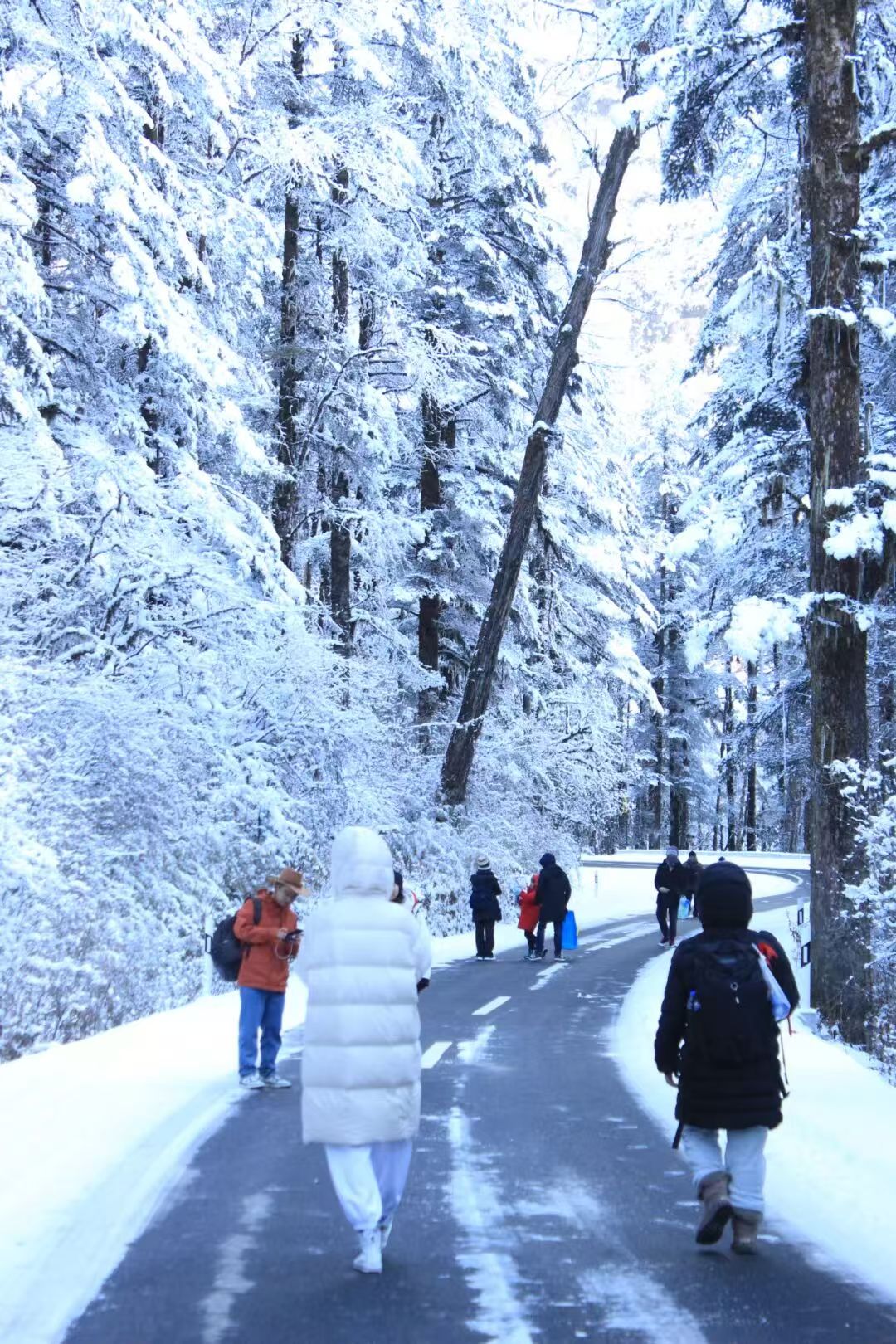 1763698410838238.jpg f799dbb671a9343051dab63e212964f.jpg