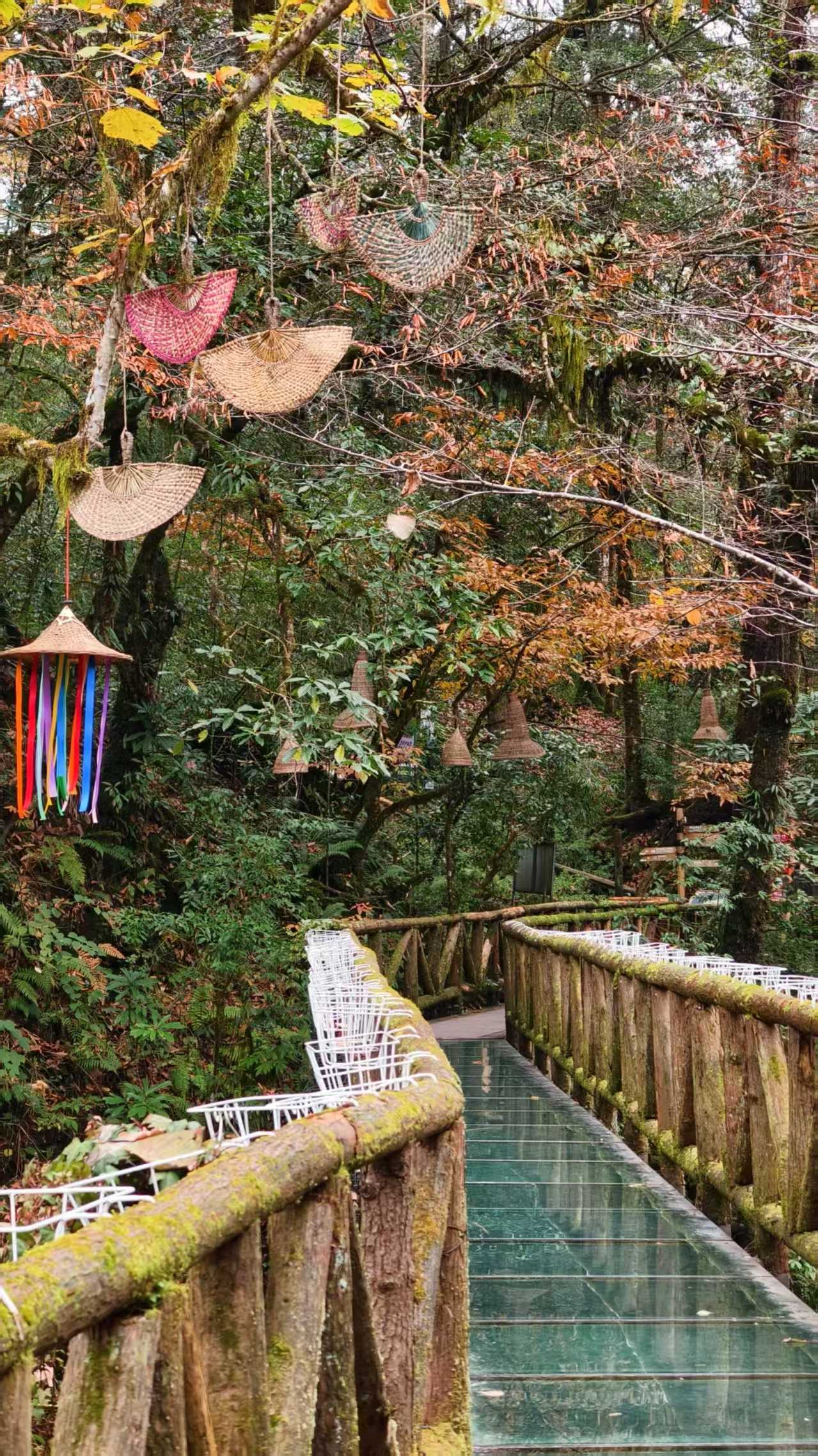 1763860688726544.jpg 微信图片_20251123091611.jpg