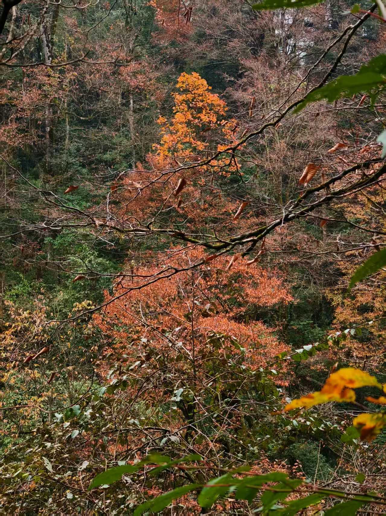 1763860691527339.jpg 微信图片_20251123091618.jpg