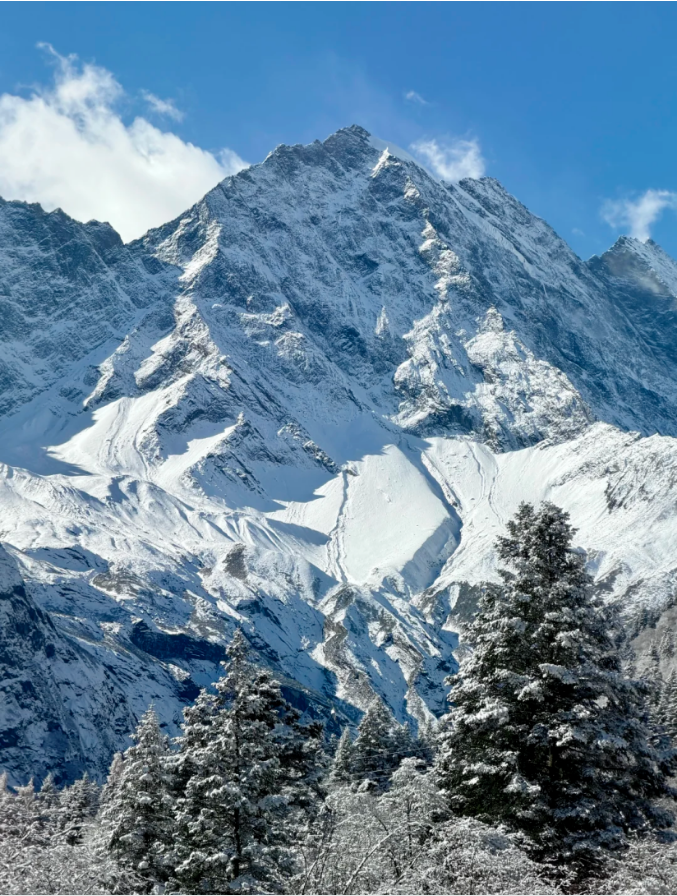 1763957555979398.png ca84e93b254115b13583aa32910f5d5.png