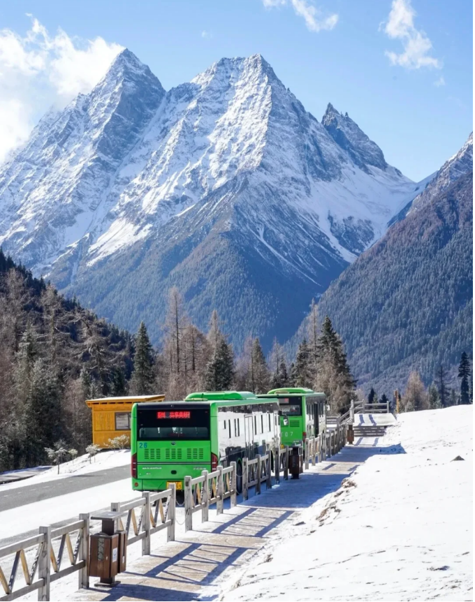 1763957581194645.png 3a4a0ff0c2316b3b6aa245e7c40d8d6.png