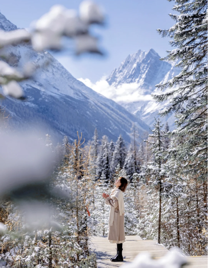 1763957601919120.png fca69bed4b22cd533d8153d71bfe2f5.png