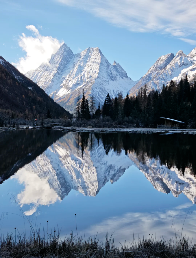 1763957613384745.png c27c75ca44397a78809225d8a7dbbbd.png