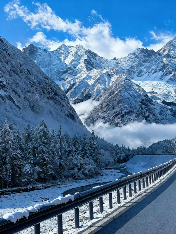 1763957655808471.png c5191cf6bd2a2f2b409e05bdc46acd7.png