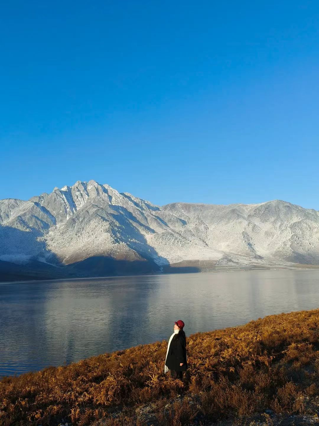 1764040826760312.jpg 0ae84d8af9d27c62285500656d289b7.jpg