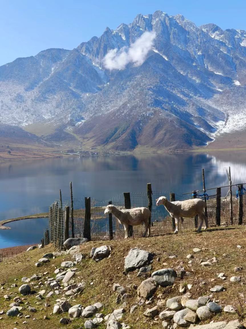 1764040833136962.jpg c6651569a2b217d04af715f320e1c9d.jpg