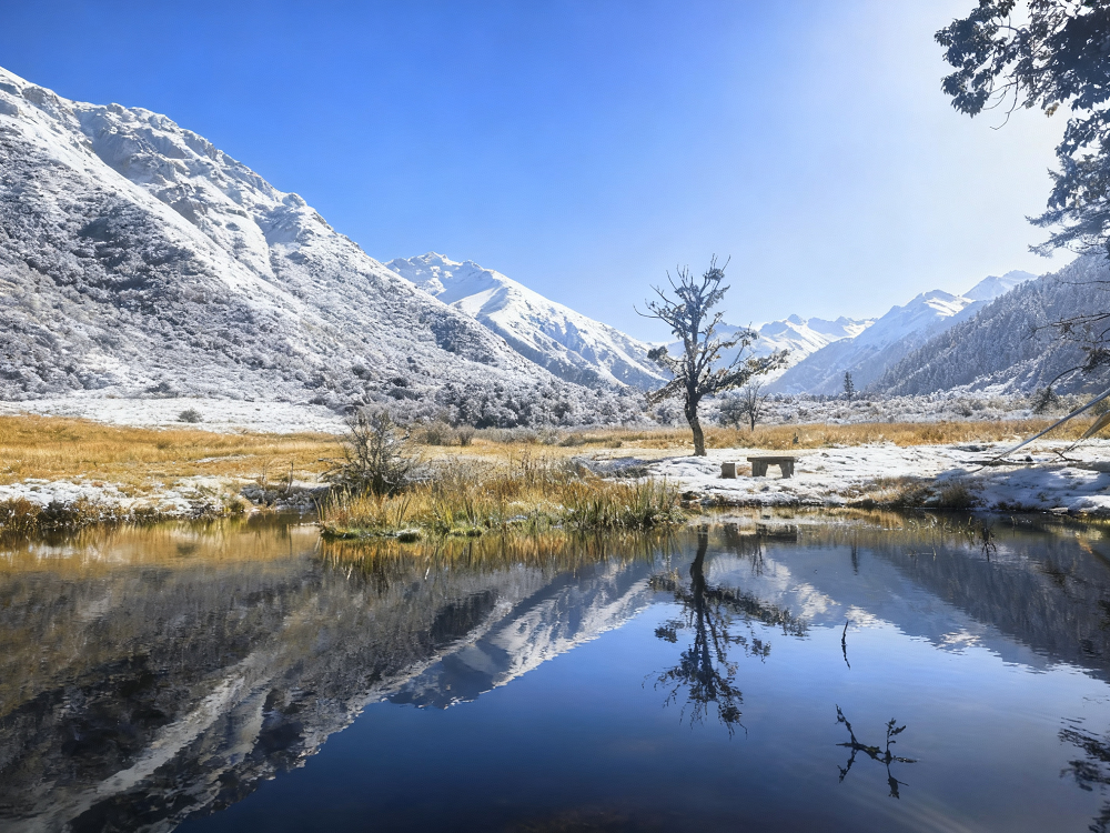 1764053651462332.png 微信图片_20251125145159.png